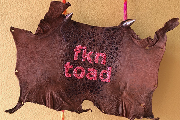 Kate Geck Toadbusting