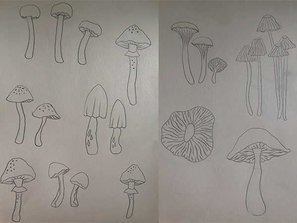 Kate GeckArtwork 2023