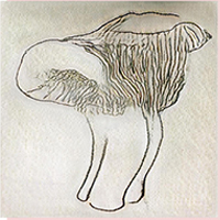 Kate Geck Artwork 2023